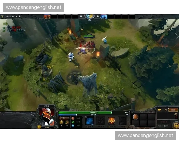 Dota2中屯野技巧与策略分析 如何通过合理屯野提升游戏胜率